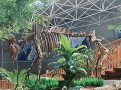 -中国第四纪冰川遗迹陈列馆