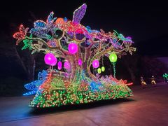 -珠海长隆海洋王国