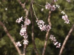 -三里河公园