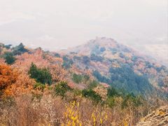 -北京十三陵国家森林公园蟒山景区