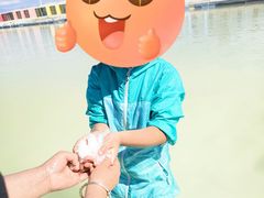 -盐湖景区