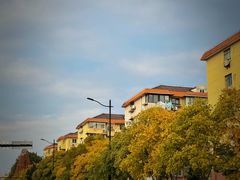 -J Create城市露营咖啡·简餐·宠物(上海动物园店)