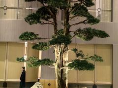 -外滩·云南人家(昆明旗舰店)