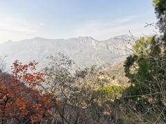 -北京上方山国家森林公园