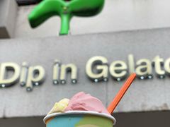 -Dip in Gelato(富民路店)