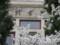 -武汉大学-樱园