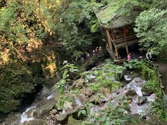 -藏龙百瀑风景区