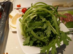 茼蒿-海底捞火锅(九久奥特莱斯店)