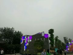 -秀丽东方