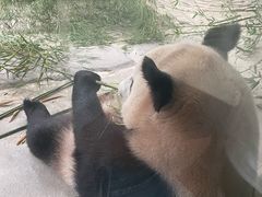 -杭州野生动物世界