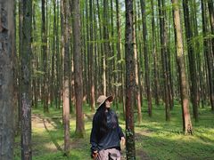 -山王坪喀斯特国家生态公园