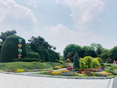 -南京银杏湖乐园