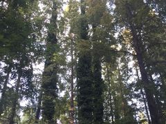 -上海植物园-4号门售票处