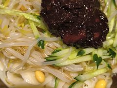 炸酱面-好嫂子酱猪手•农家菜(蒲黄榆店)