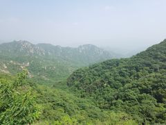 -大岭沟猕猴桃谷风景区