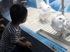 -成都浩海立方海洋公园