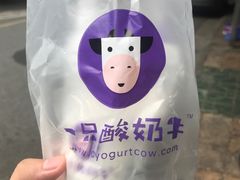 -一只酸奶牛(东方广场店)