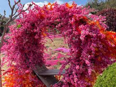 -石岛赤山风景区