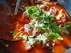 铁锅炖羯羊肉-福茂源横山铁锅羊肉(牡丹园店)