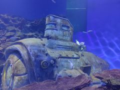 -海合安武汉极地海洋公园