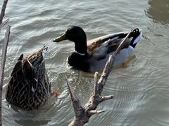 -祥源·阜阳生态乐园