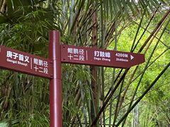 -东部华侨城