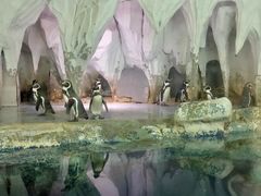 -太平洋海底世界博览馆·展览厅