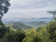 -莫干山风景区