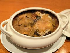 -广州富力君悦大酒店空中花园