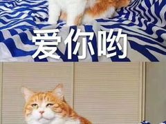 -星巴克臻选(湖滨道店)