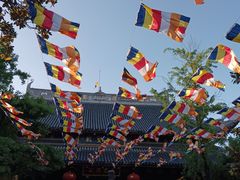 -龙华寺