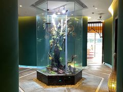 -泰悠谷养生SPA(世茂商业街店)