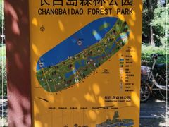 -长白岛森林公园