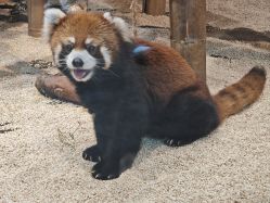 -Zoolung Zoolung动物主题公园(海信广场店)