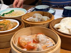 羊肚菌鲜肉饺-云山茶餐厅(广东大厦店)