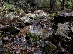 -白云源风景区