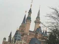 -麦新格精品酒店(上海浦东机场川沙迪士尼店)