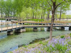 -东郊湿地公园