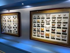 -上海昆虫博物馆