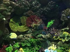 -海合安青岛极地海洋公园