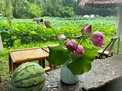 -百翠山居.家飨餐厅
