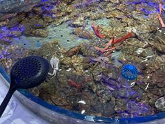 -澜悦港海鲜体验主题餐厅