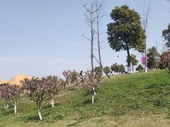 -滆湖低碳生态公园