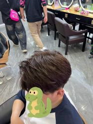 -藤野造型烫染