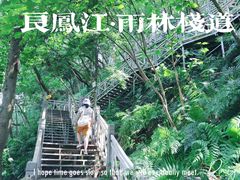 -南宁良凤江国家森林公园