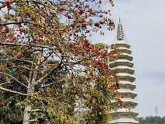 -南普陀寺