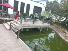 -放鸡岛生态旅游国际度假区
