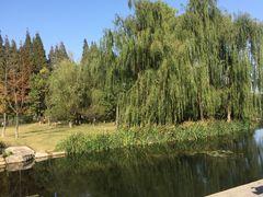 景点-习家池