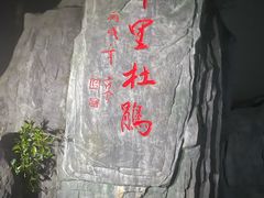 -梧桐山风景名胜区