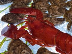 -壳里西餐厅Coquille Seafood Bistro(蒙自路店)